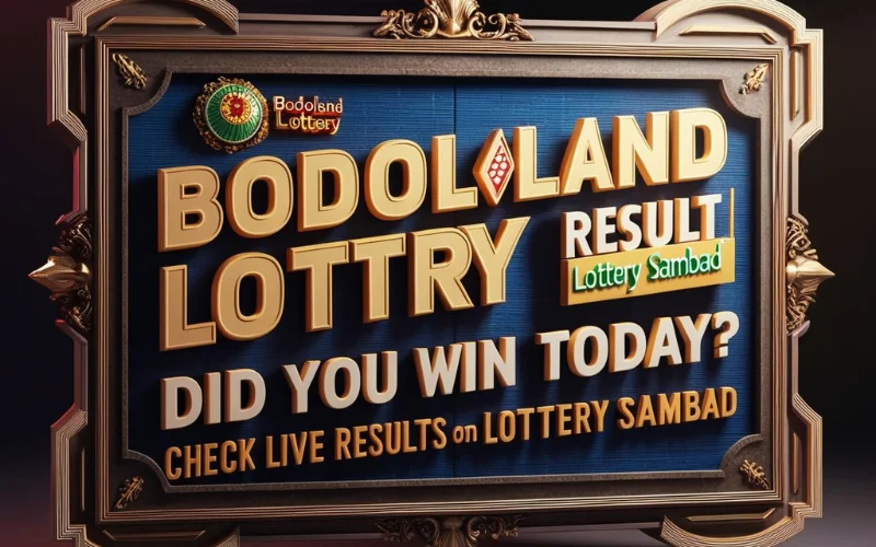 Bodoland Lottery Result